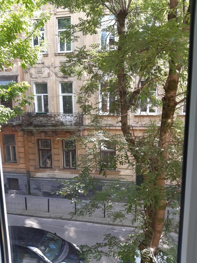 Appartement Cosy flat à Lviv Extérieur photo