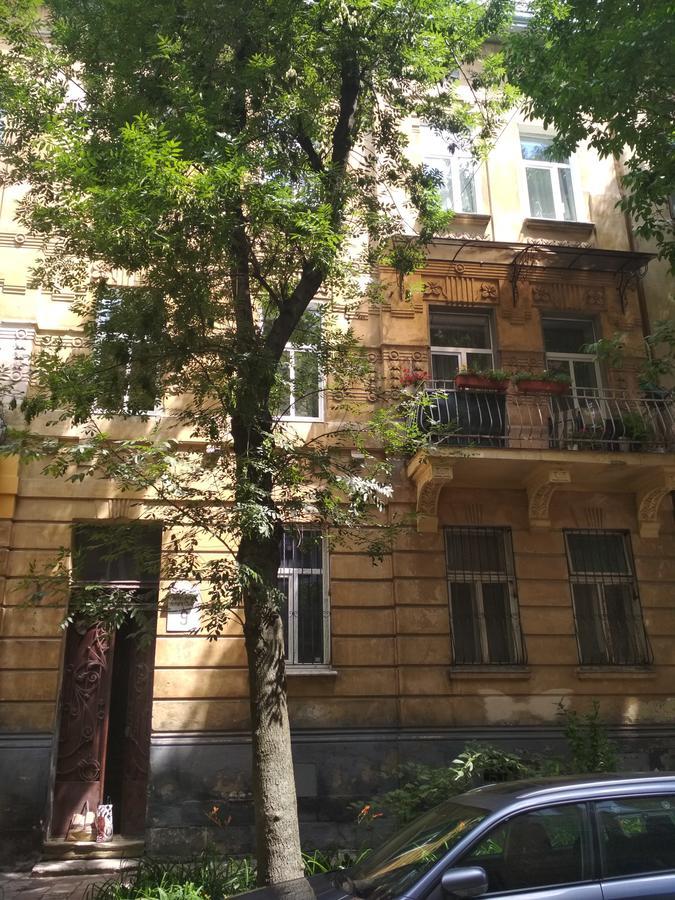 Appartement Cosy flat à Lviv Extérieur photo